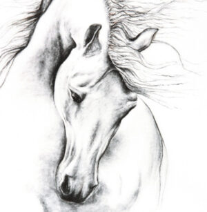 Free Spirit