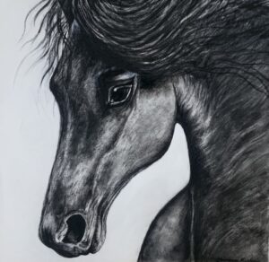 Black Beauty