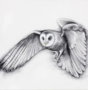 Limited edition print on canvas.