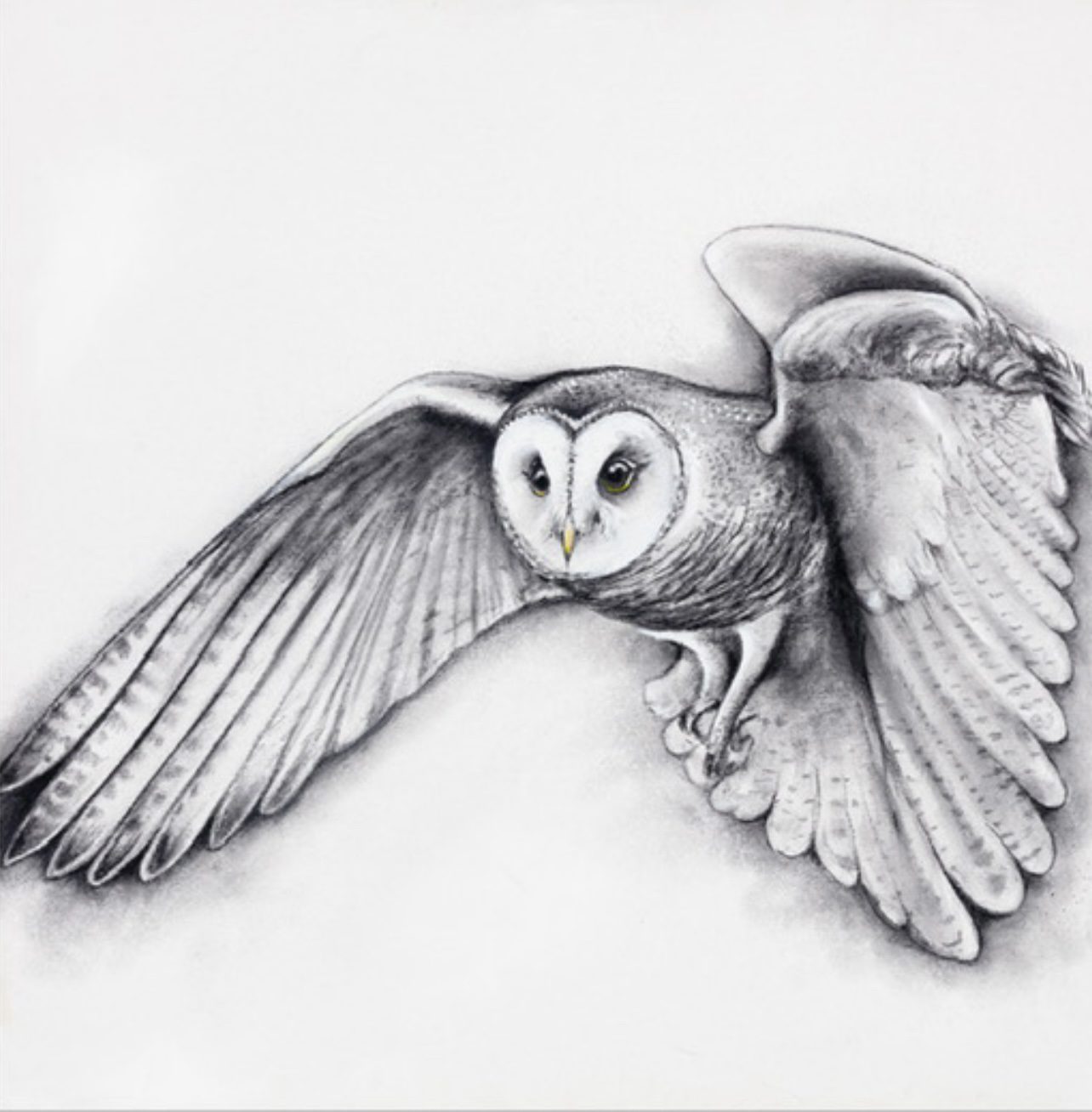 Limited edition print on canvas.